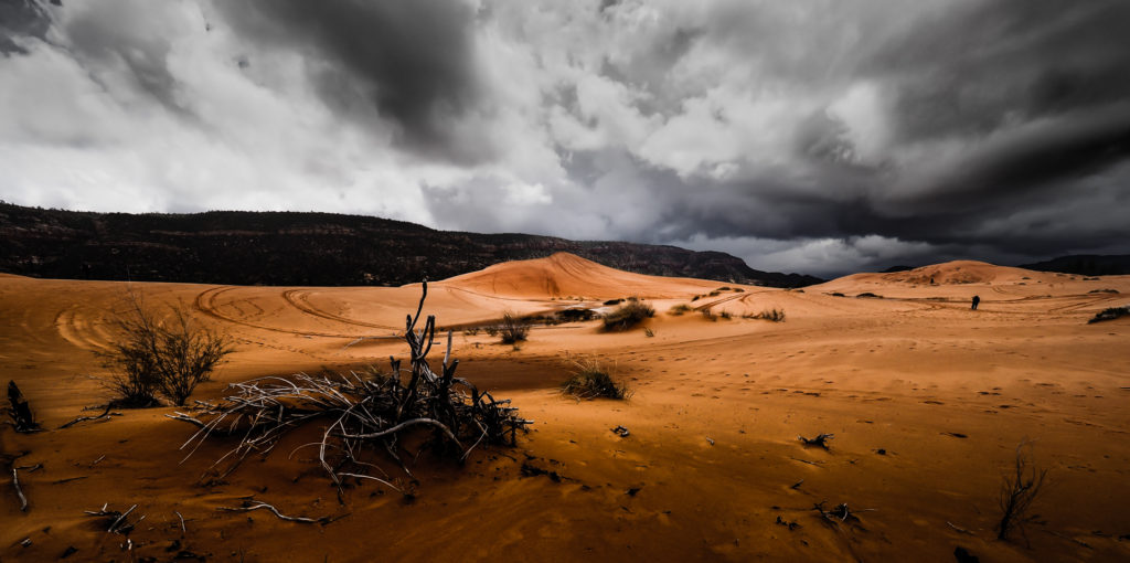 R 3rd Place by Ernesto Corte