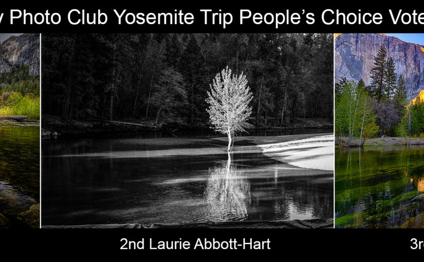 Yosemite Trip – People’s Choice