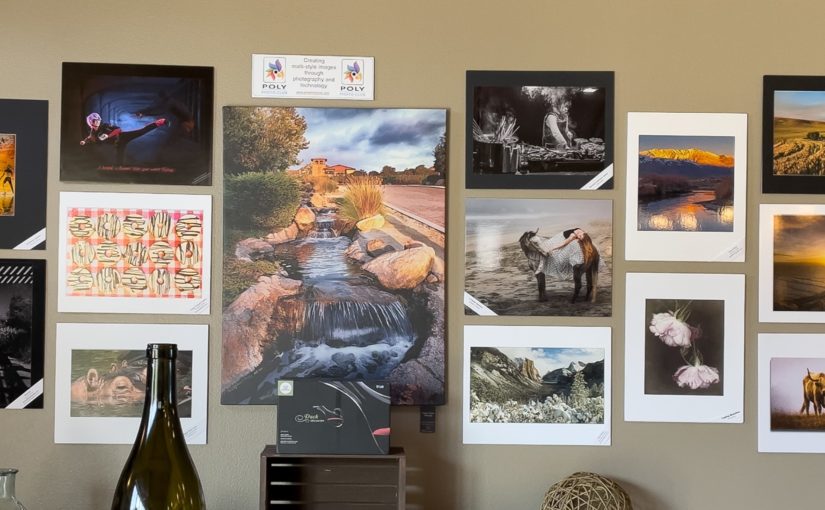 New Poly Gallery at Trevi Hills Winery, July to Oct
