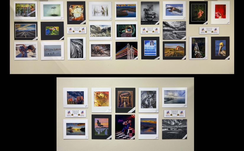 Nelson Photo Reception, Apr 12
