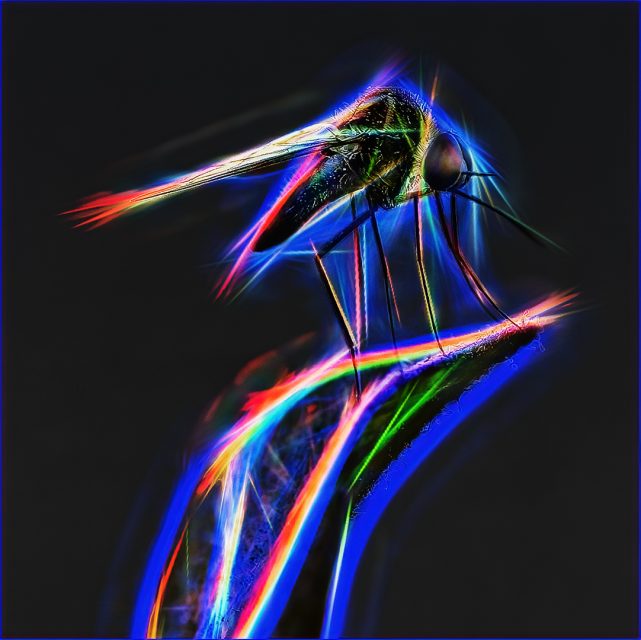 Creative 2nd Place Electricfied by Joan Harris