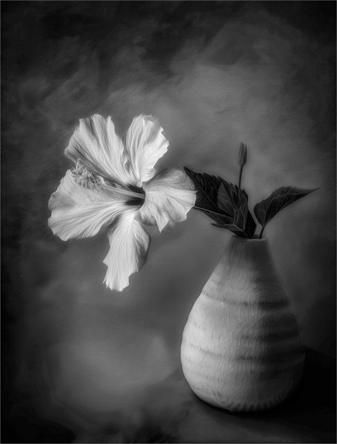 Creative 3rd Place Stillness and Grace by Barbara Fletcher