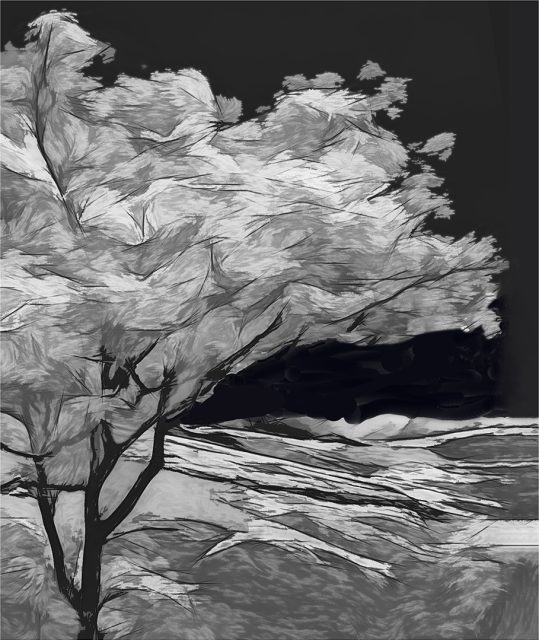 Creative 3rd Place Wispers in Silver by Joan Everds