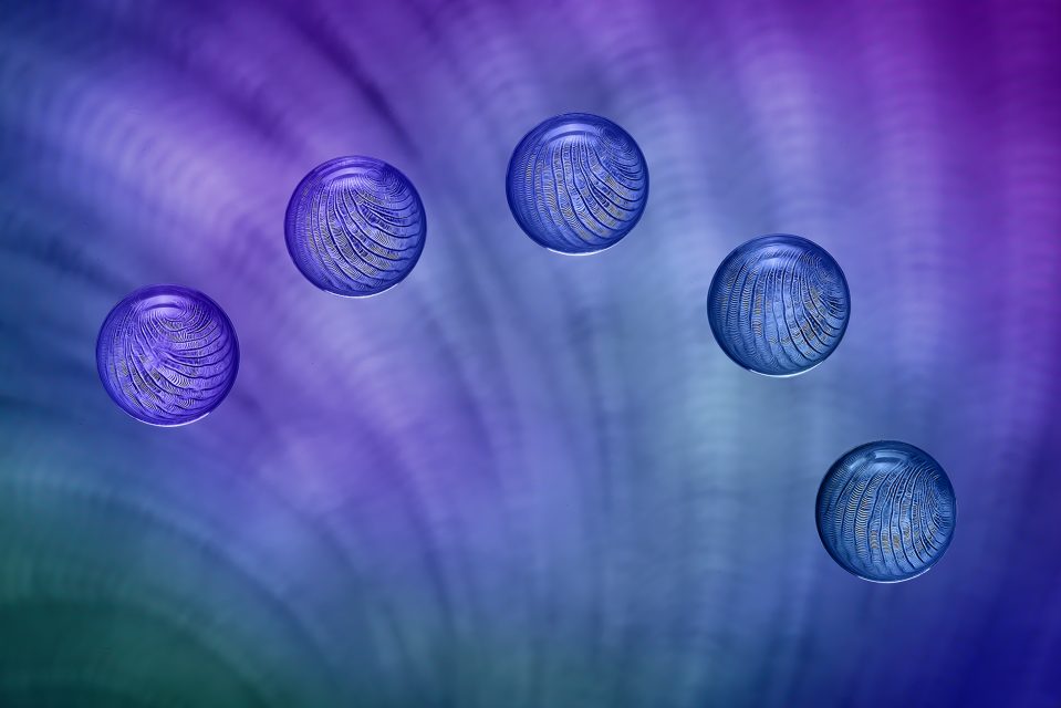 Project: Bokeh 1st Place by James Woodward