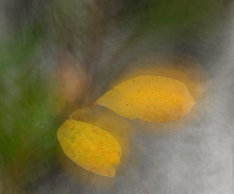 Project: ICM 1st Place by Beverly Brock