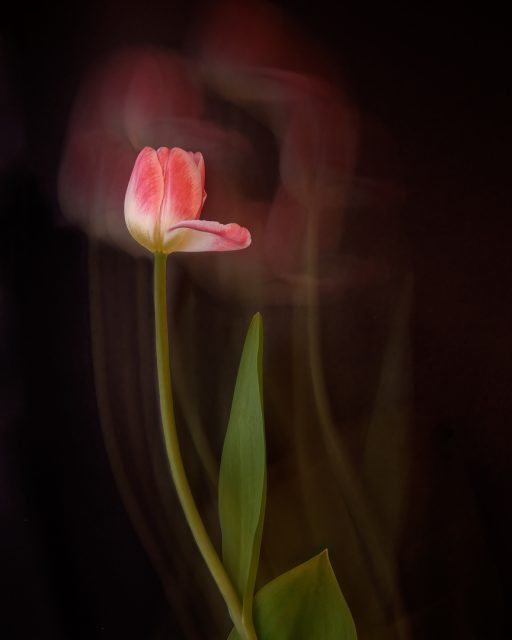 Project: ICM 2nd Place by Carol Flanagan Corsi
