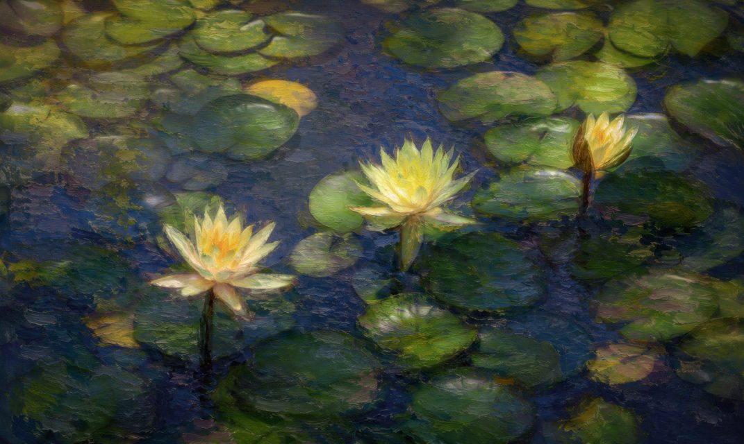 Project: Monet 2nd Place by Barbara Fletcher