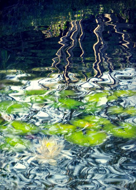 Project: Monet 3rd Place by Judy MacLean