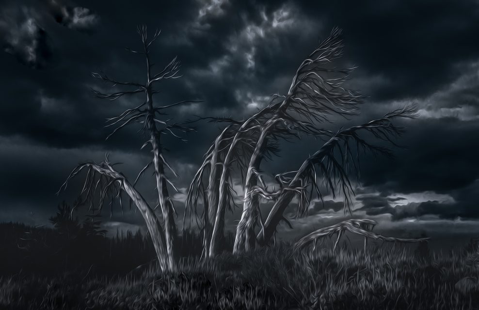 Project: Night 2nd Place by Barbara Fletcher