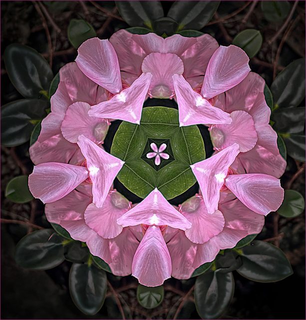 Project: Patterns 1st Place by Rick Wiley