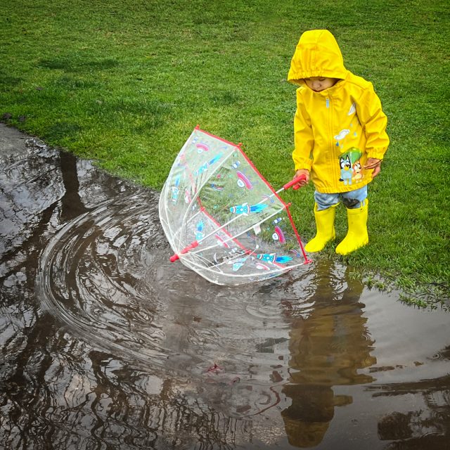 Project: Weather 3rd Place by Judy MacLean