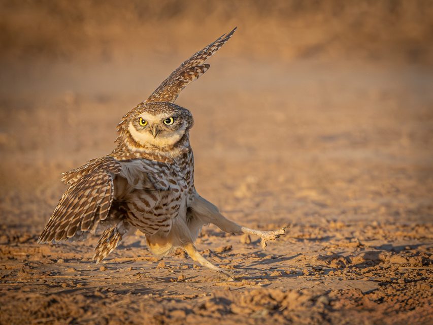 Realistic 1st Place Touchdown by Richard Strobel