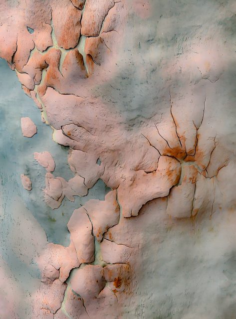 Realistic 2nd Place Sydney Red Gum Tree Bark by Rick Wiley